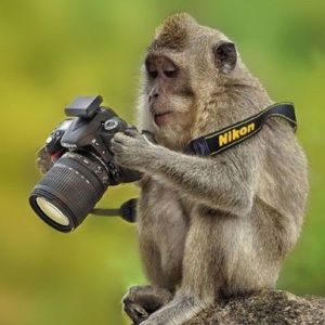 Meet your Posher, Billy